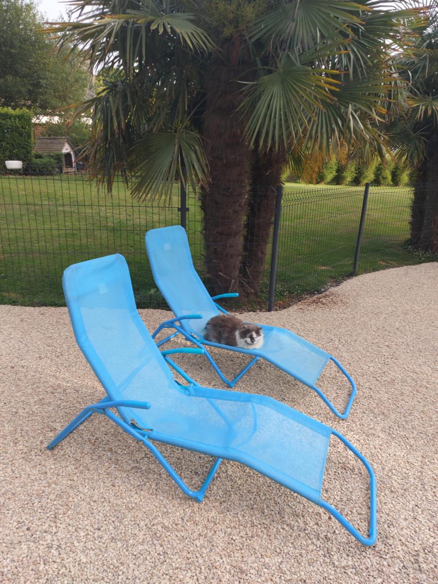 Le Paradis Bleu Bosville Екстериор снимка